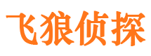 双柏外遇调查取证